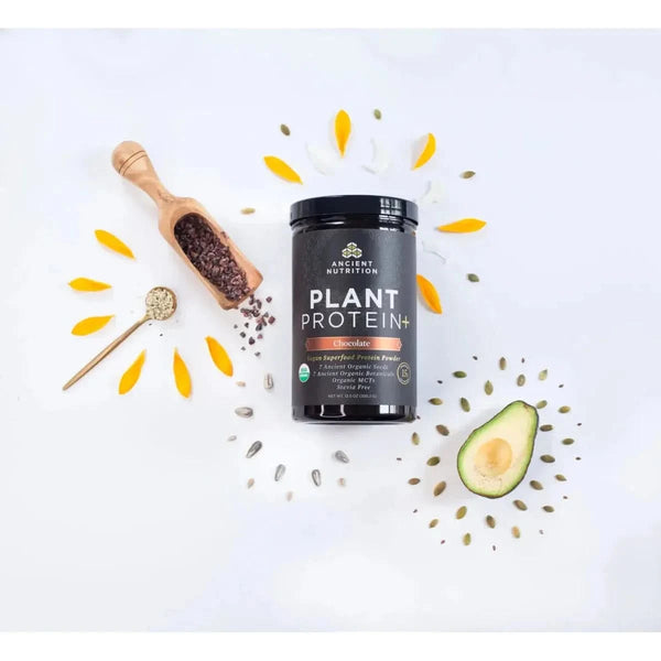 Ancient Plant Protein - Chocolate 12 Sevings - Glam Global UKAncient Nutrition