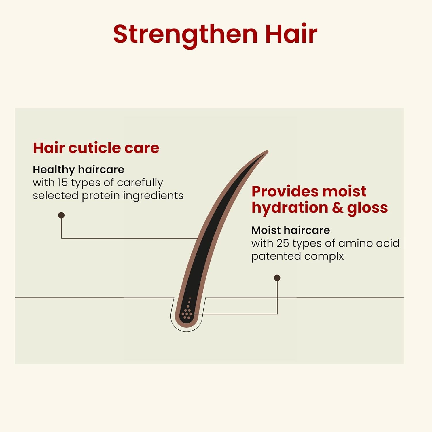 CH6 Sprout Scalp SSAG Shampoo – 520ml | Hair Loss Relief, Anti-Ageing & Scalp Renewal Formula