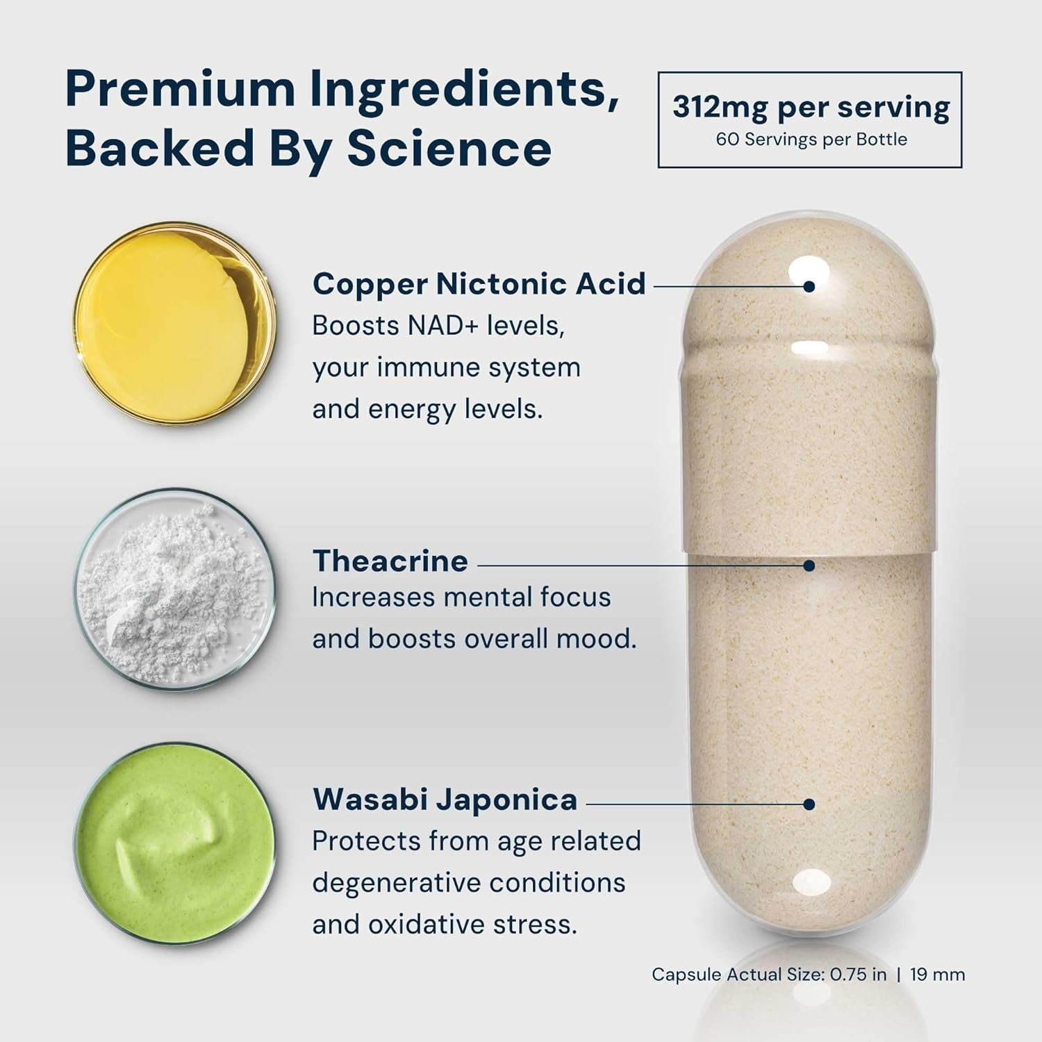 HPN NAD3 – 120 Capsules | Advanced NAD+ Booster for Energy, Longevity & Cellular Health