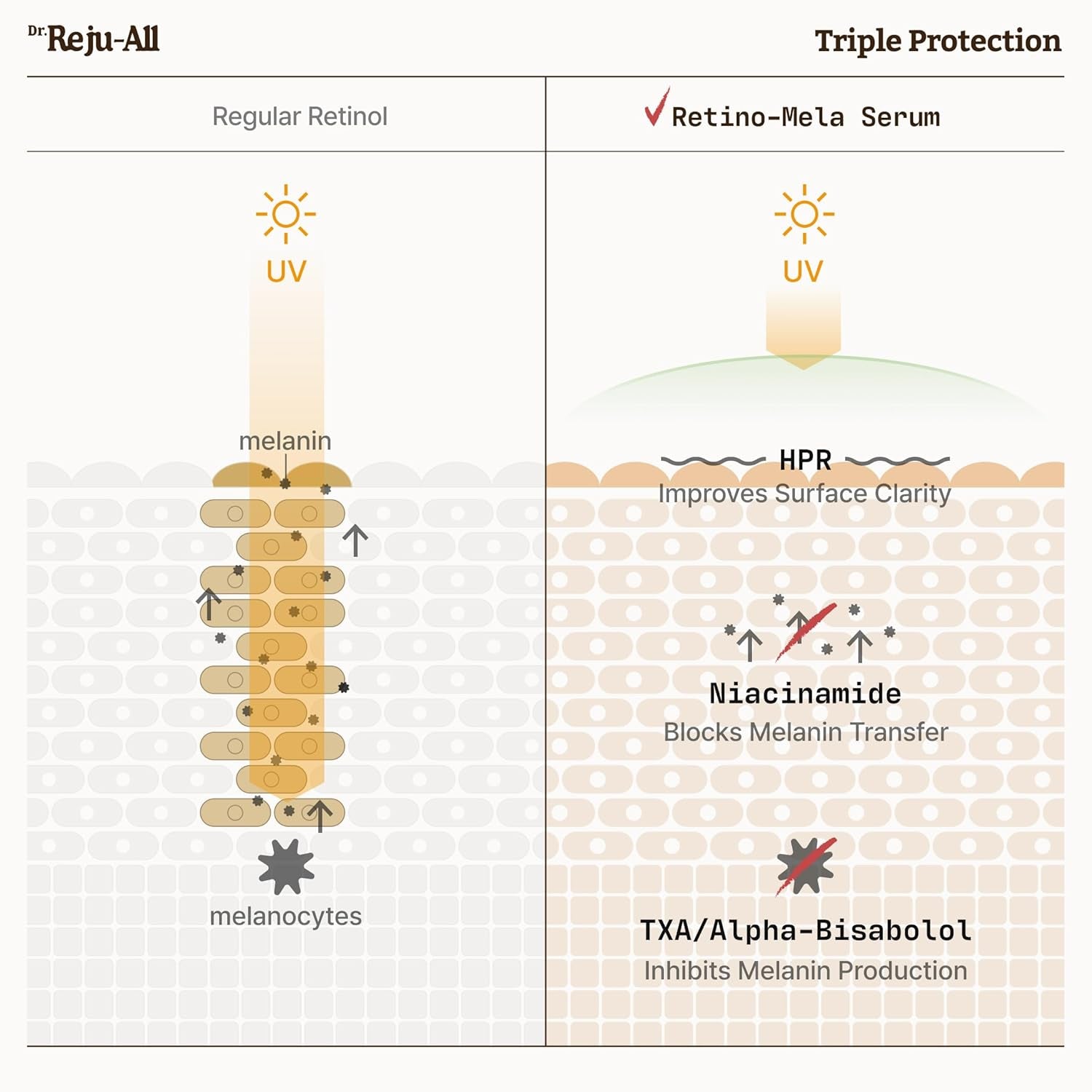 Dr.Reju-All Advanced Retino-Mela Serum – 30ml | Fade Dark Spots, Smooth Wrinkles & Brighten Skin Tone