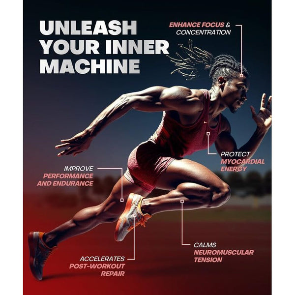 Dralot Creatine Monohydrate Gummies – 120 Veggie Gummies | Ultra-Pure Muscle Growth & Endurance Support