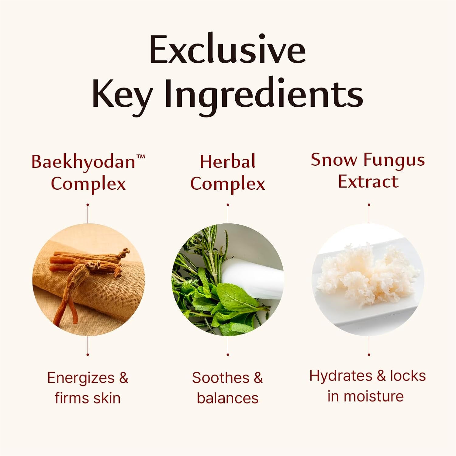 Sooryehan Hyobidam Fermented Cream – 50ml | Anti-Aging & Hydrating Face Cream