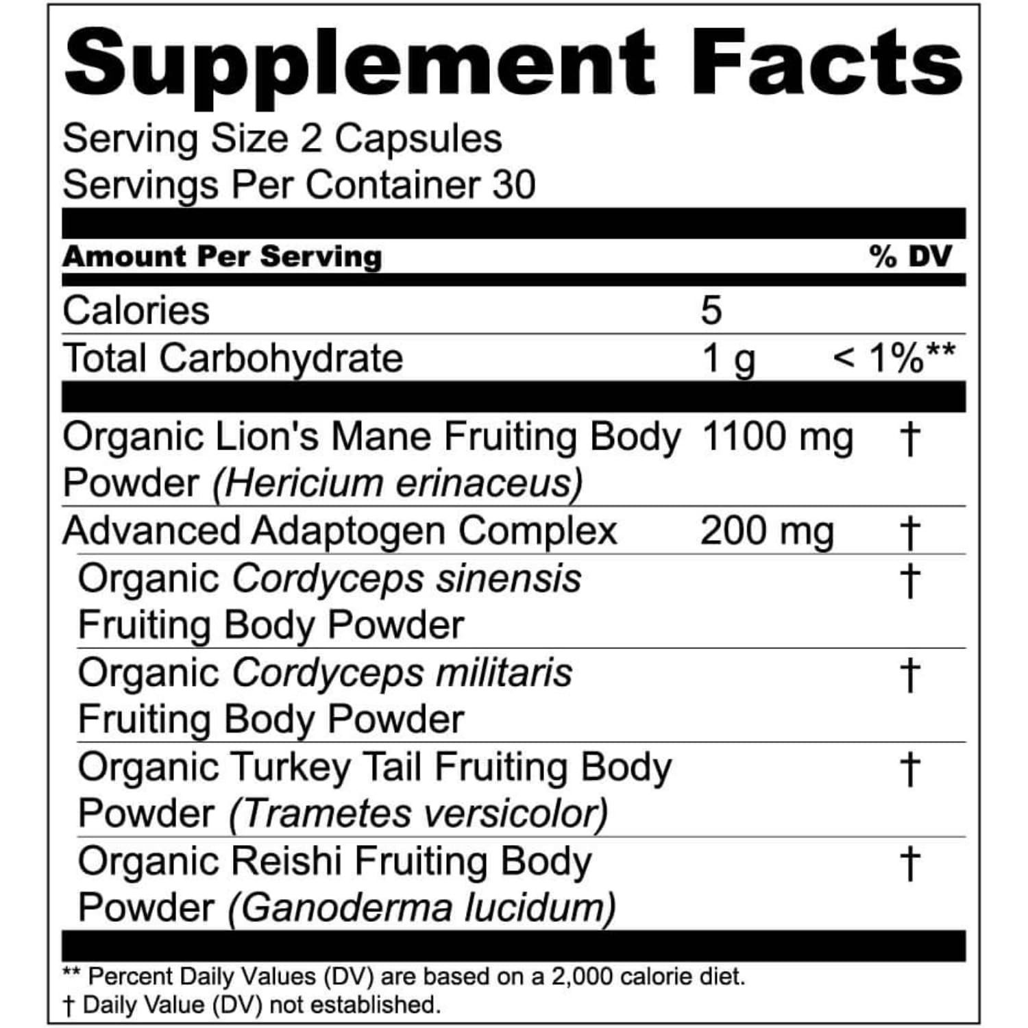 Live Conscious Lion’s Mane + Mushroom Blend – 60 Capsules | Focus, Memory & Immune Support