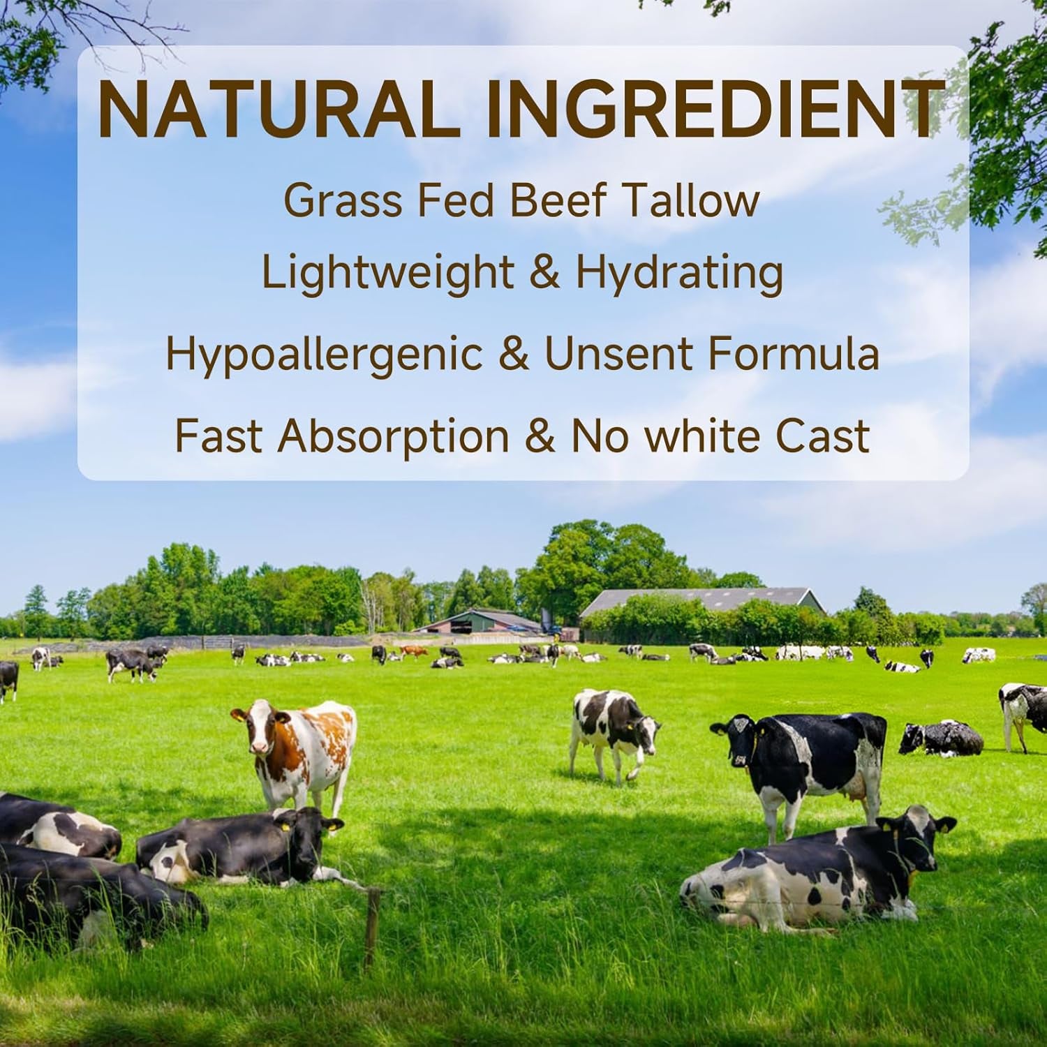 Outccogo Beef Tallow Sunscreen – 70g | Natural, Reef-Safe Sun Protection with Deep Hydration for Face & Body