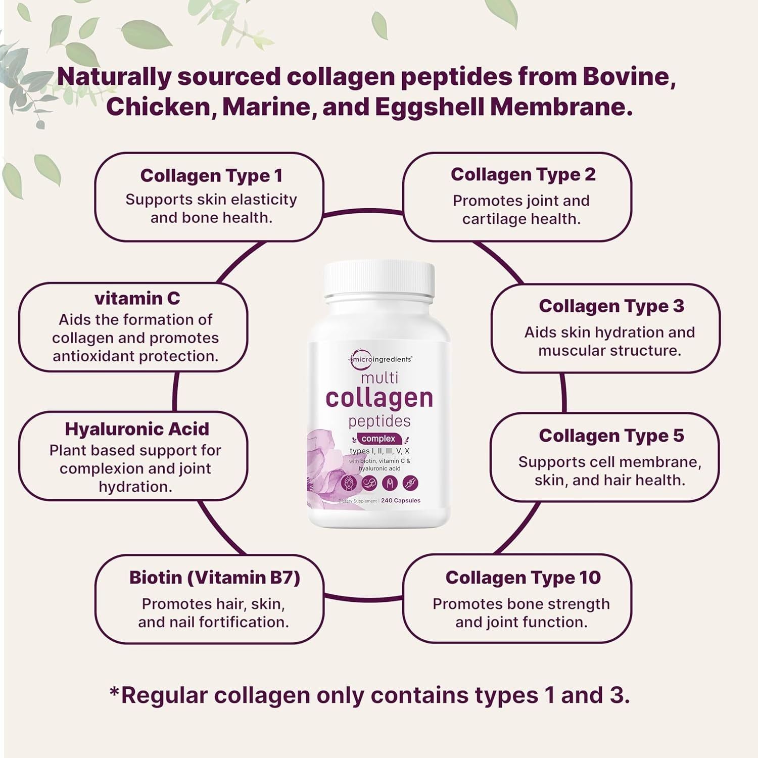 Micro Ingredients Multi-Collagen Peptides Complex – 240 Capsules | 5 Types of Collagen + Hyaluronic Acid & Biotin