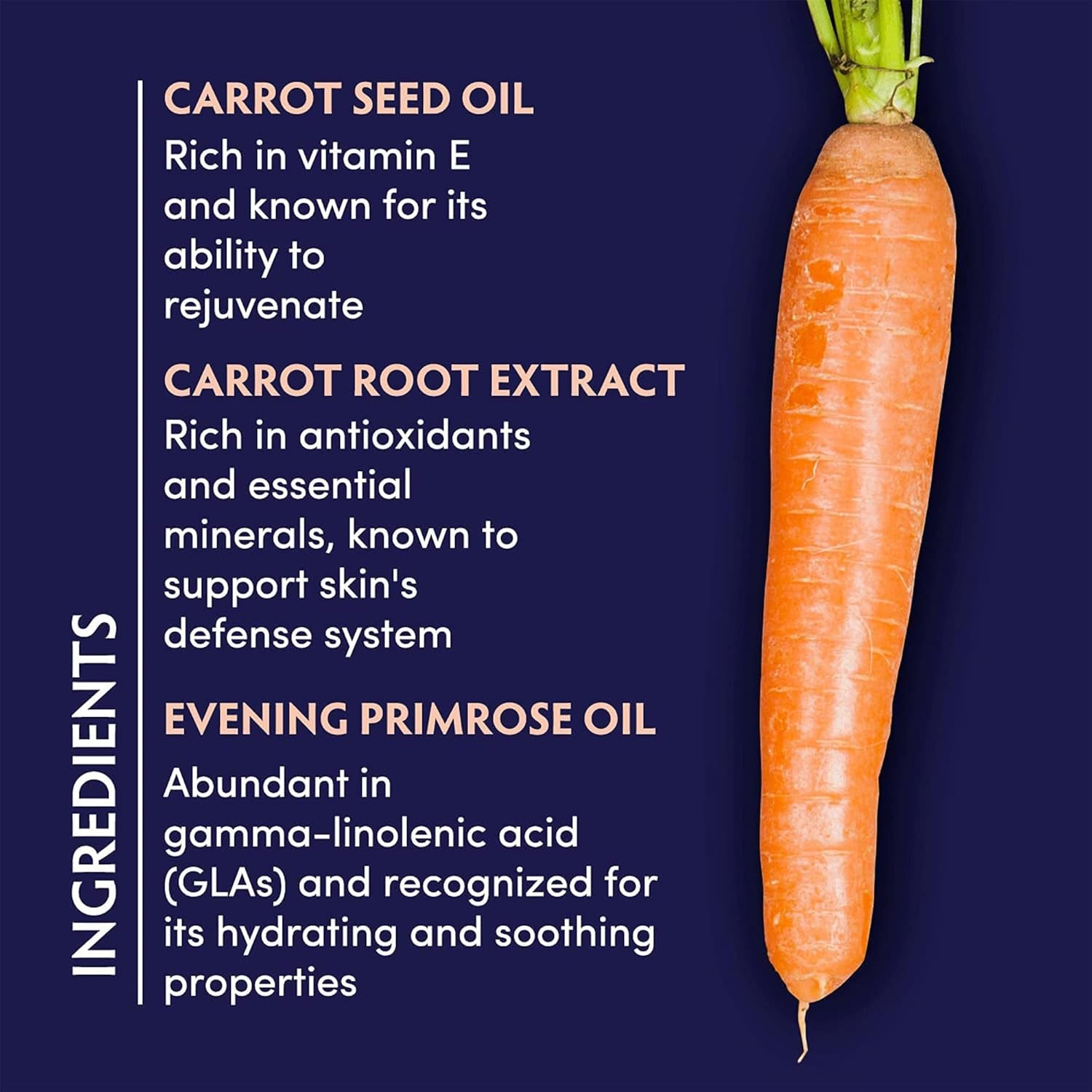 Naturopathica Carrot Seed Soothing Facial Oil – 35ml | Hydrate, Calm & Rejuvenate