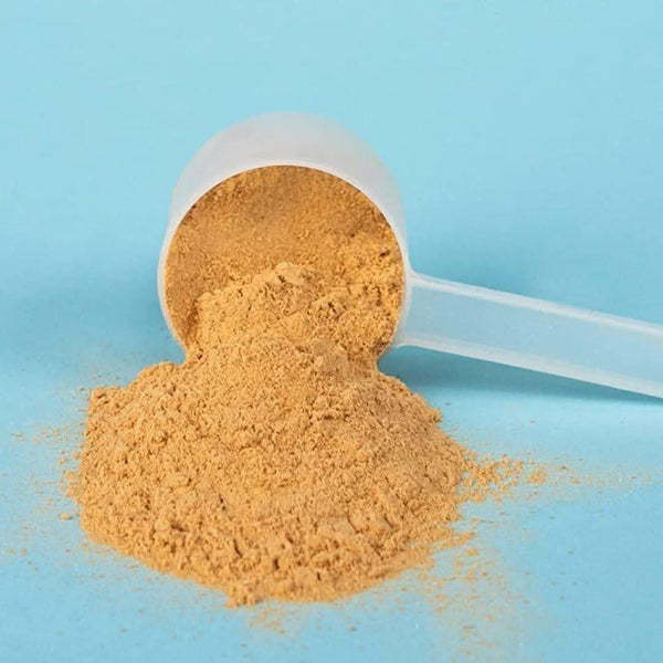 Ancient Nutrition Bone Broth Protein - Salted Caramel 20 Servings - Glam Global UKAncient Nutrition