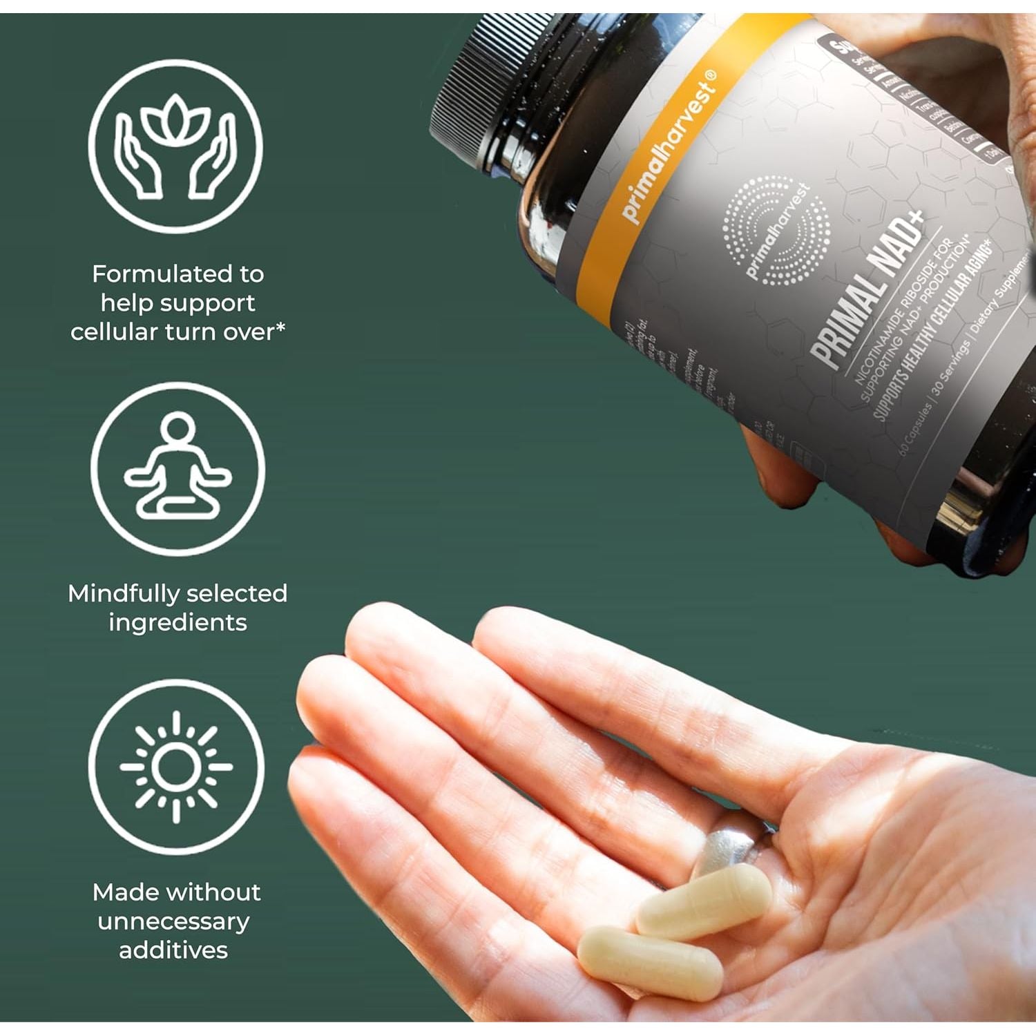 NAD+ Supplement: Nicotinamide Riboside, Trans-Resveratrol, Betaine, Coq10, NAD Supplements for Cellular Health, Energy, and Mitochondrial Support (60 Count (1 Pack)