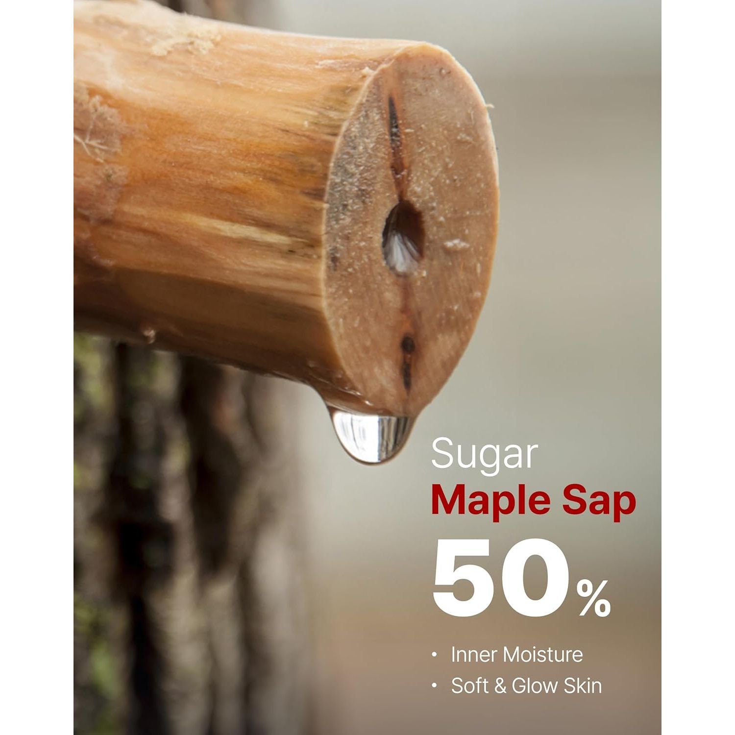 Raw Eye Contour | Korean Eye Cream with Sugar Maple Extract & Peptides, Hydrating Cream Contour for Daily Care, Lightweight Formula for Sensitive Skin, 0.67 Fl Oz