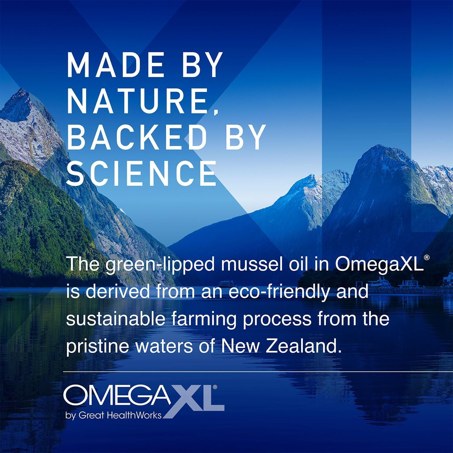 OmegaXL Joint & Muscle Support – 60 Softgels | Advanced Green-Lipped Mussel Omega-3 Complex