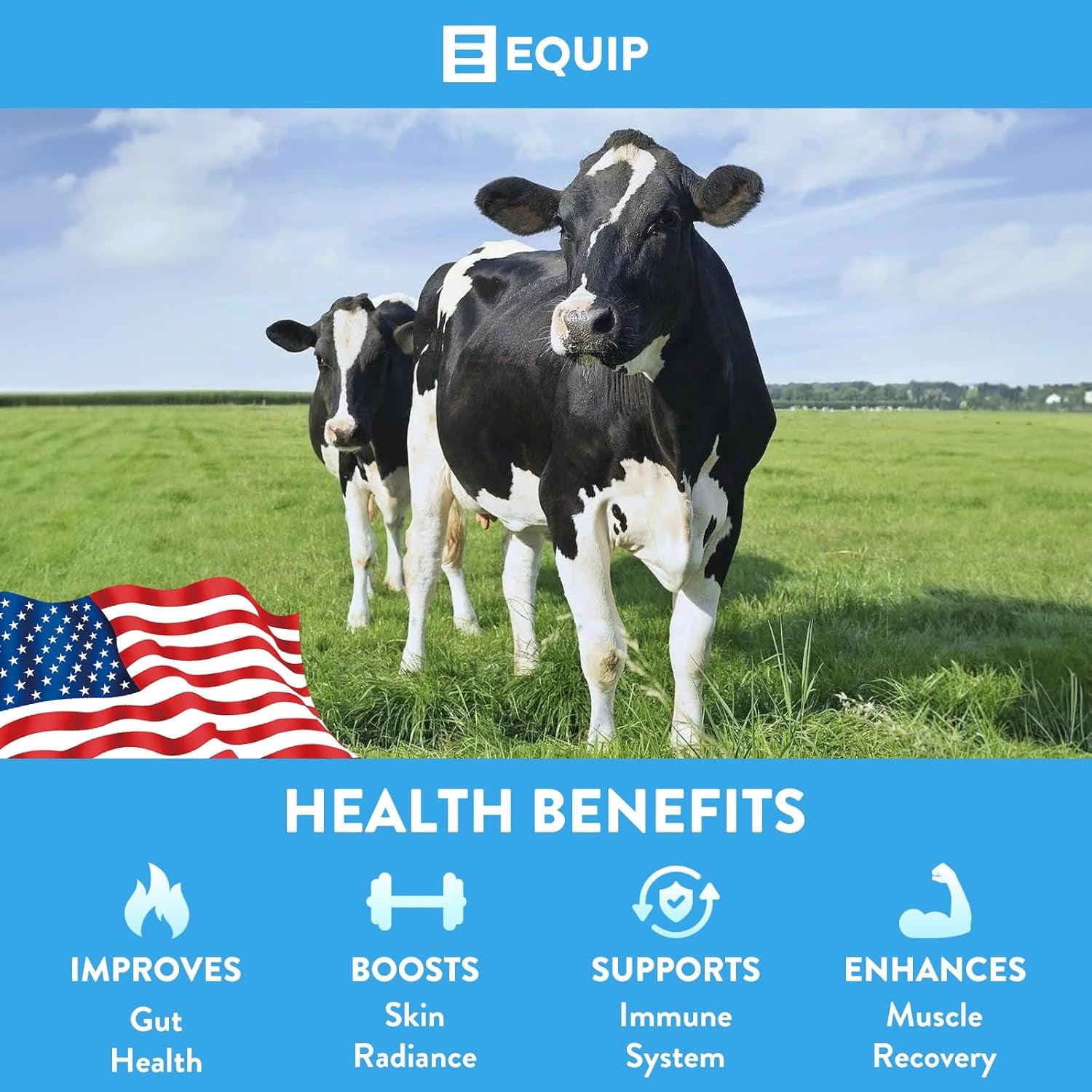 Foods Core Colostrum | Grass Fed Colostrum Powder 3,000Mg | Gut Health, Immunity, Recovery | Lactoferrin Supplements | Keto Friendly Colostrum Supplement | 30 Servings, Unflavored