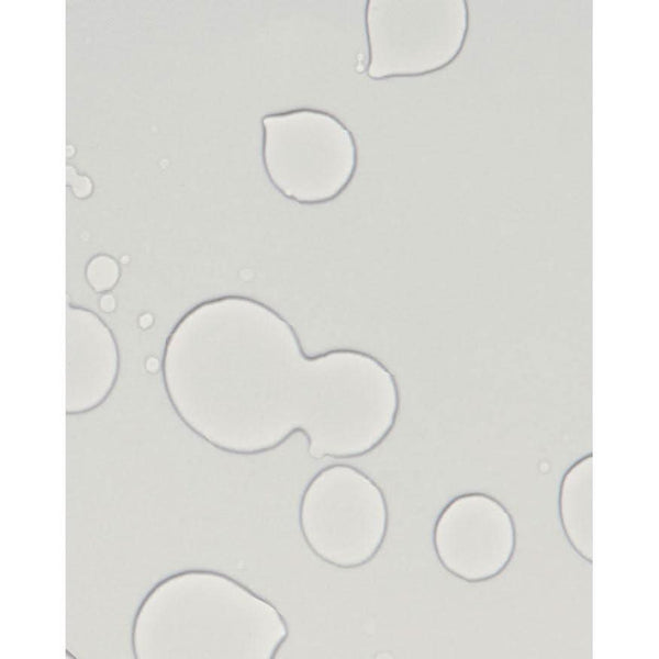 CHAHONG Re - hydra Mist 250ml - Glam Global UKCHAHONG