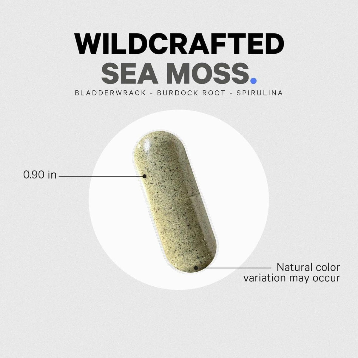 Codeage Sea Moss Wildcrafted Supplement - 120 Capsules - Glam Global UK