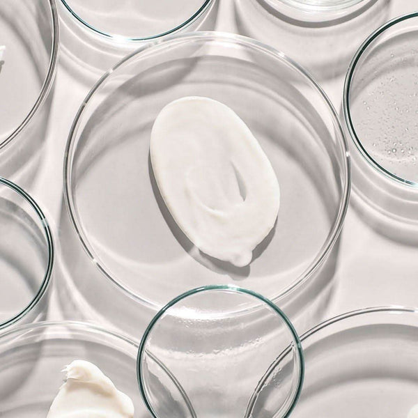 Codex Labs Antu Brightening Moisturiser - 50ml - Glam Global UKCodex Labs