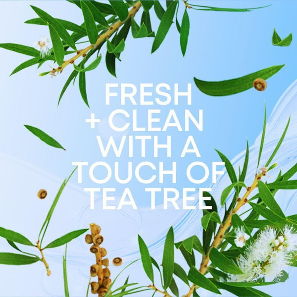 Bushbalm Ingrown Hair Oil (Nude) – 30ml | Soothes, Softens & Prevents Razor Bumps