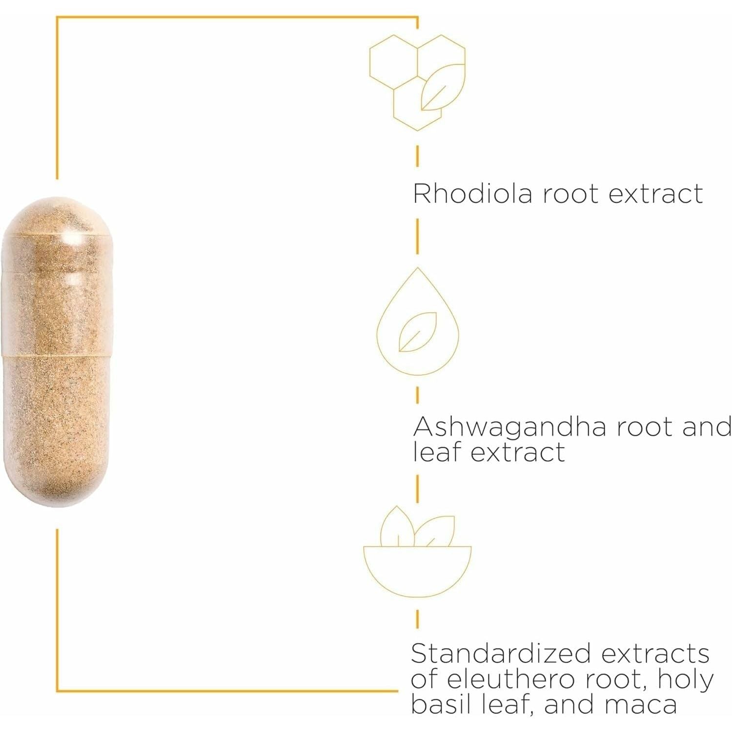 Integrative Therapeutics HPA Adapt - 120 Capsules