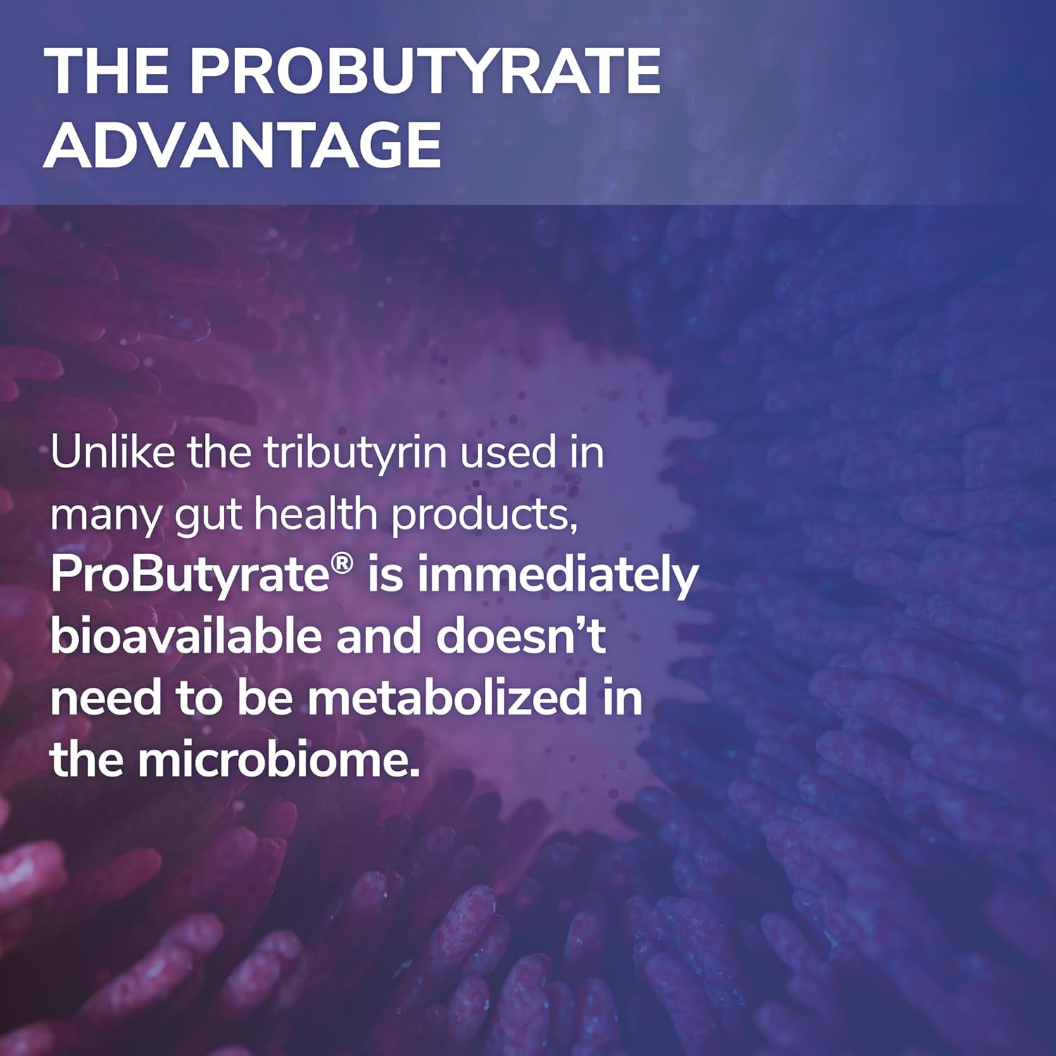 Tesseract Medical Research ProButyrate Gut Health Supplement – 120 Capsules | Advanced Butyric Acid for Digestive & Microbiome Support