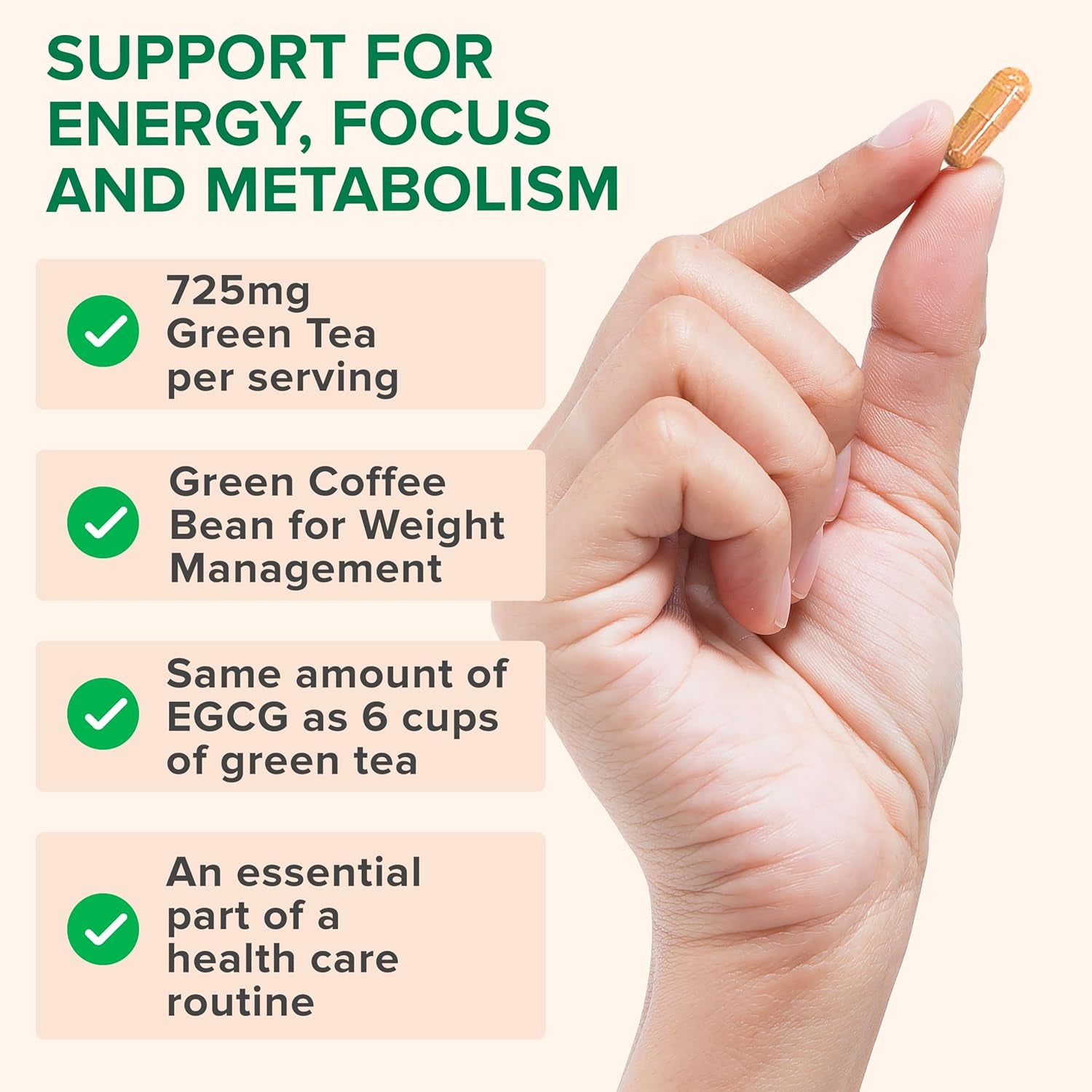 Zenwise Health Green Tea Extract – 120 Capsules | Energy, Metabolism & Antioxidant Support