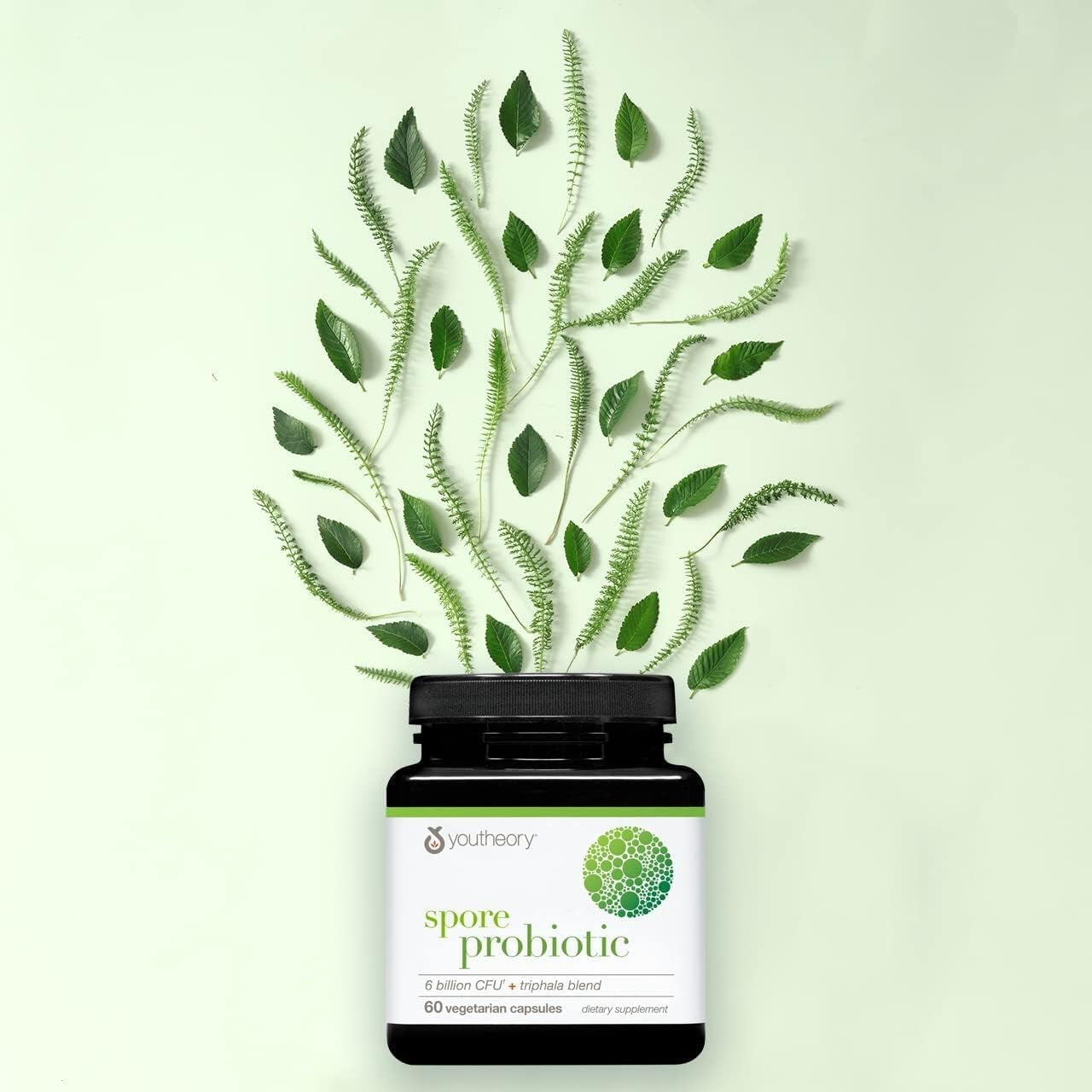 Youtheory Spore Probiotic – 60 Capsules | 6 Billion CFU with Organic Triphala for Digestive Health & Gut Balance