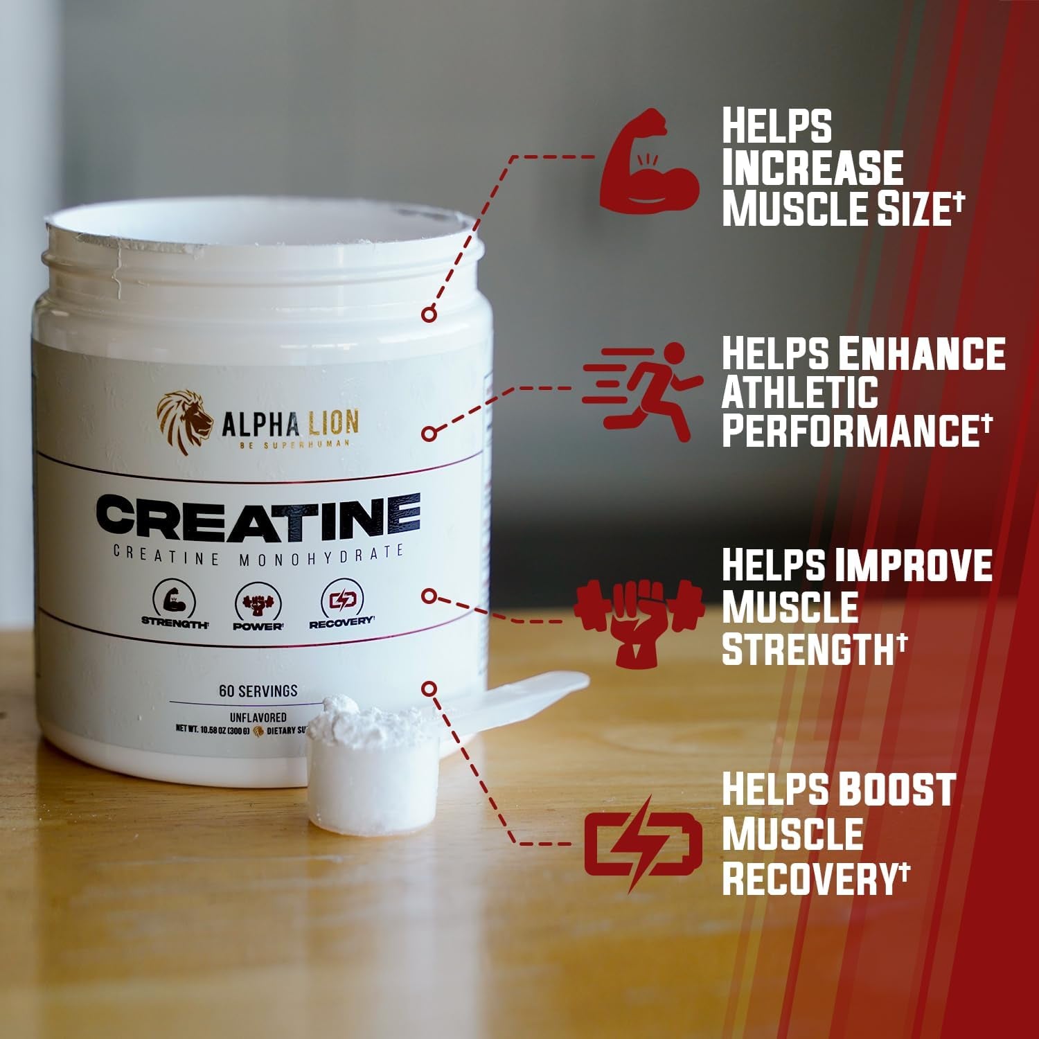 ALPHA LION Creatine Monohydrate Powder – 300g (60 Servings) | 5g Pure Creatine | Strength, Size & Performance Boost