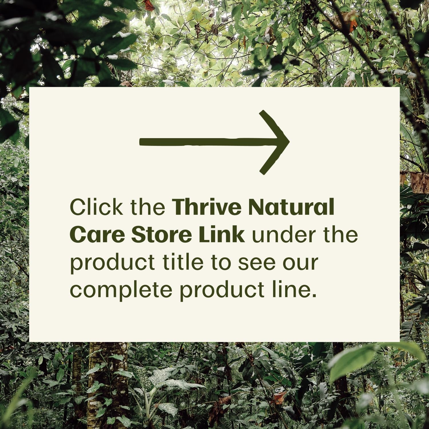 Thrive BodyShield SPF 50 Mineral Sunscreen – 170g | Reef-Safe, Regenerative Plant-Powered Sun Protection