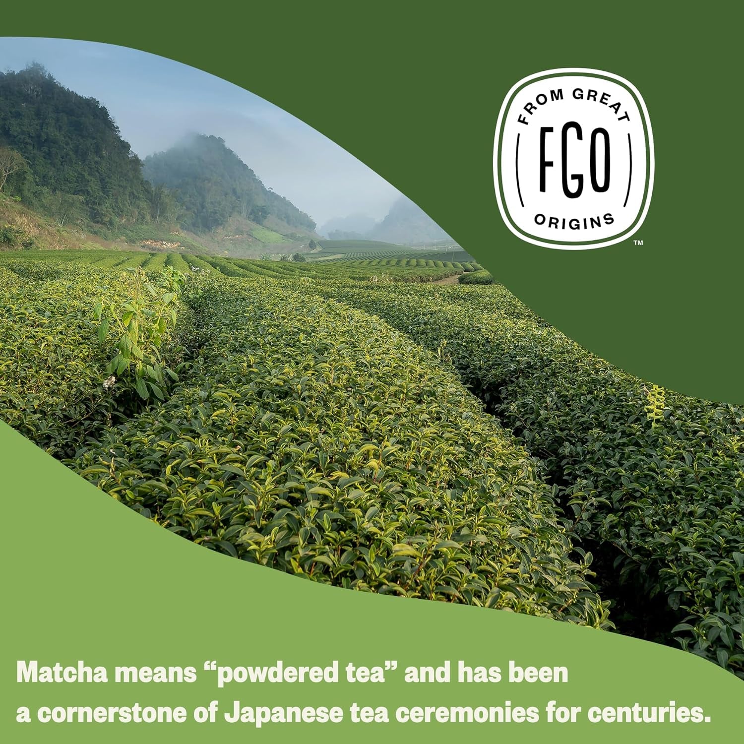 FGO Organic Matcha Green Tea Powder - 113g