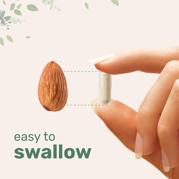 Micro Ingredients Hair Vitamins Complex – 240 Capsules | 14-in-1 Hair Growth Support for Thicker, Stronger Hair