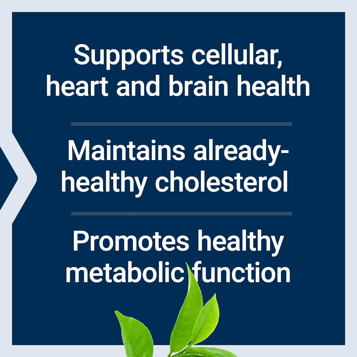 Life Extension Decaffeinated Mega Green Tea Extract – 100 Capsules | High-Potency Antioxidant & Heart Health Support