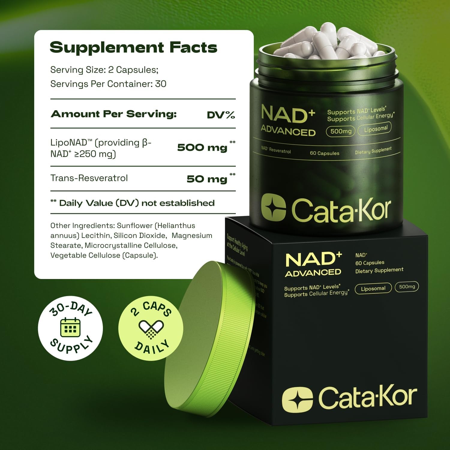 Cata-Kor NAD+ Advanced NMNH Alternative – 60 Capsules | Liposomal NAD+ & Resveratrol for Healthy Aging & Energy