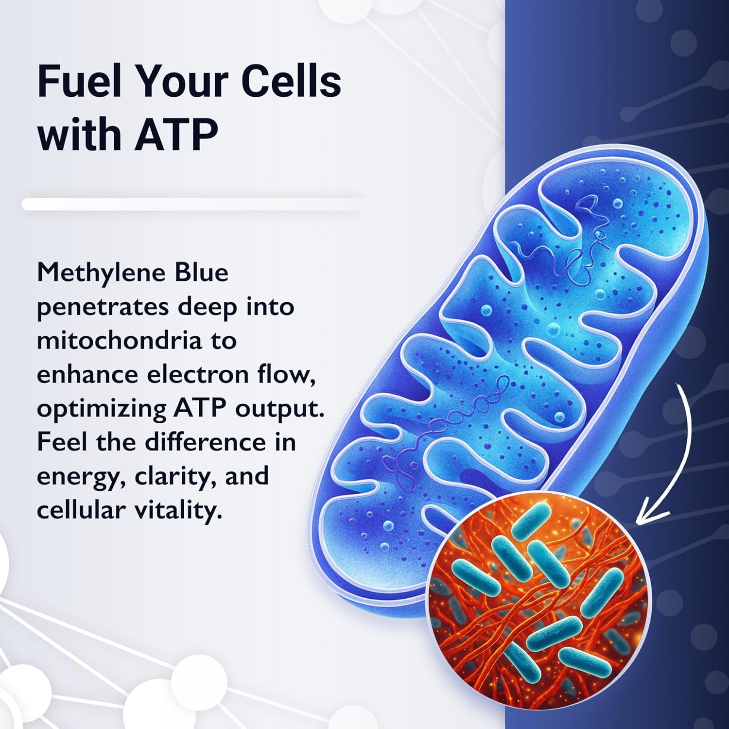 LCG LABS Methylene Blue 1% Solution – 100ml | Cellular Antioxidant Support & Mitochondrial Health Booster