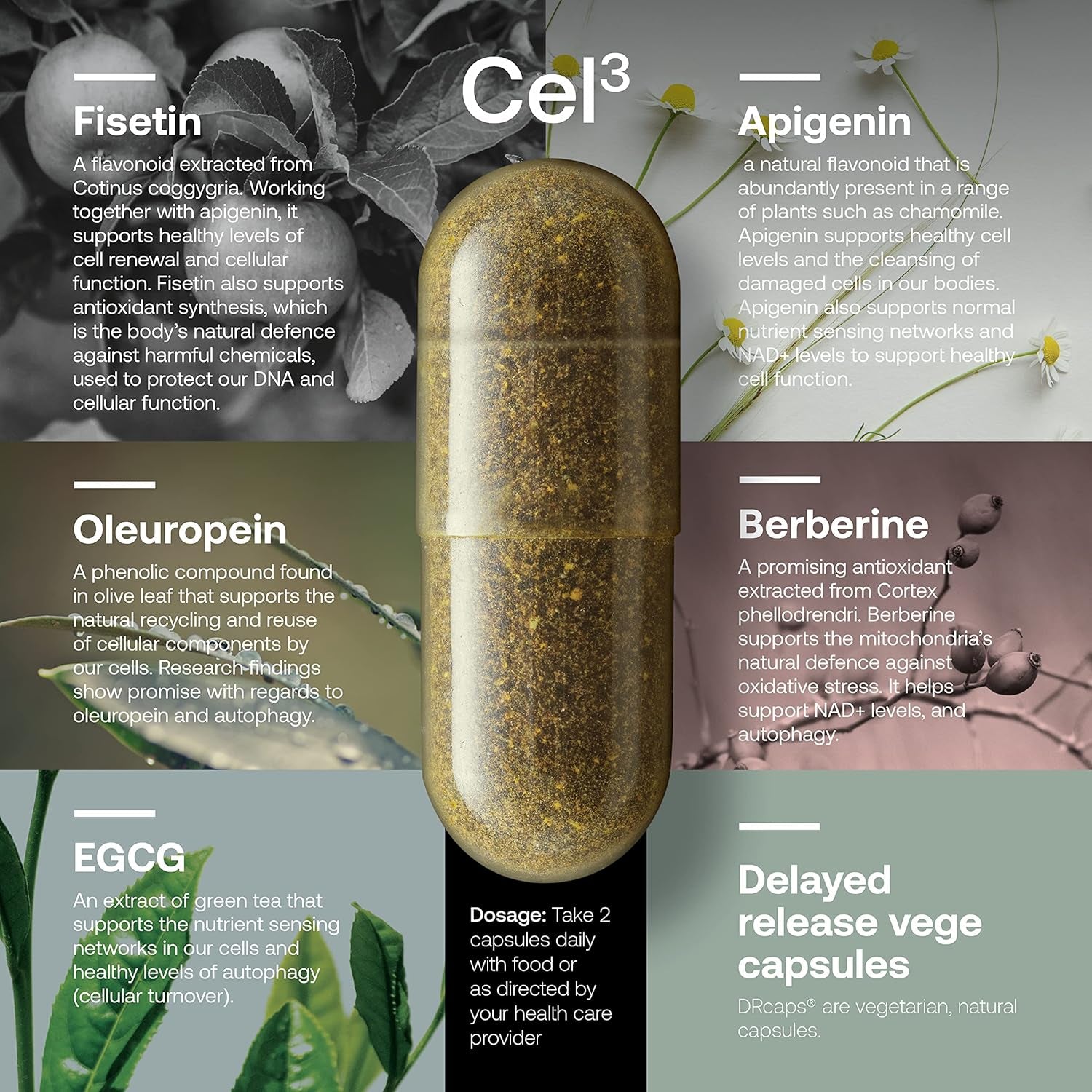SRW Cel³ Cellular System Renewal – 60 Capsules | Advanced Support for Healthy Cellular Aging