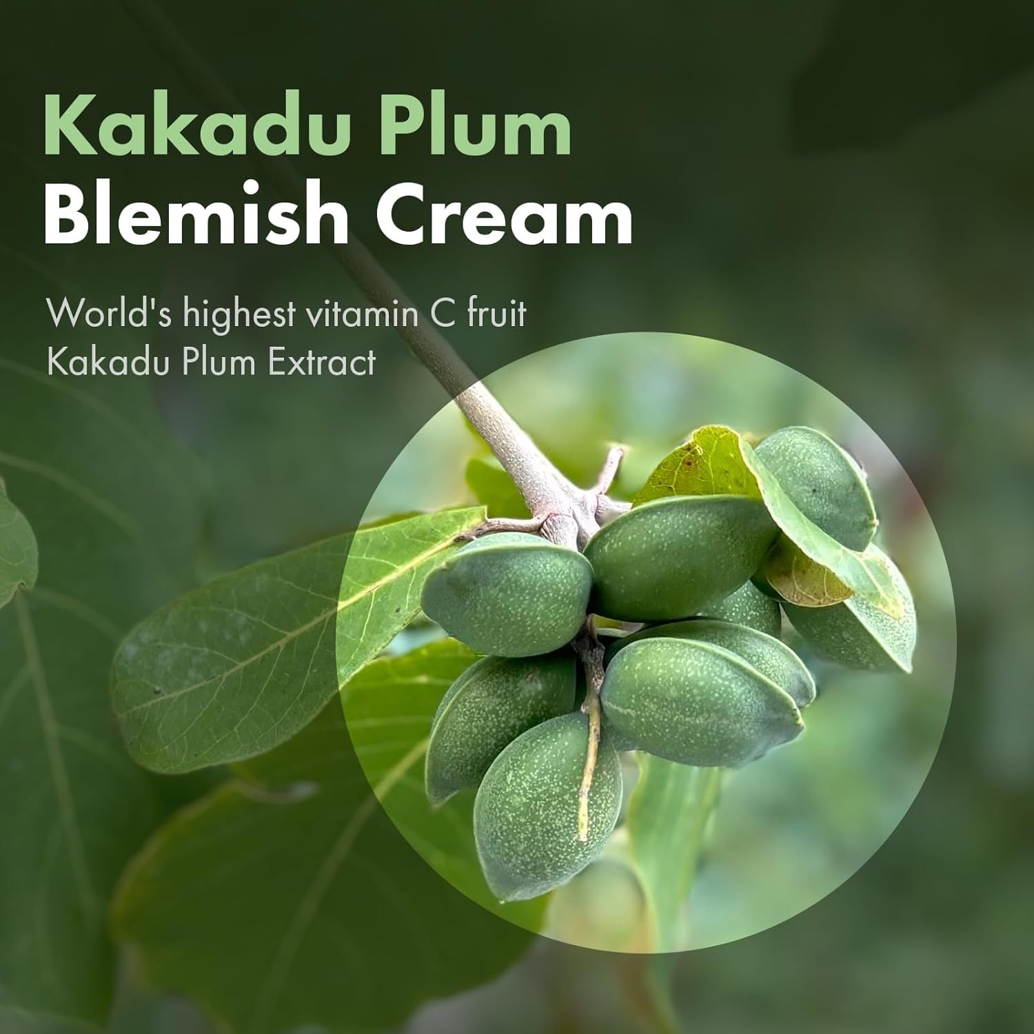 Kakadu Plum Blemish Cream, Dark Spot Remover for Face Cream, Kakadu Plum 600,000Ppm, Niacinamide, Adenosine, Betaine, Dark Spot Corrector, Vitamin C, Korean Skin Care, 50G, 1.76 Oz.