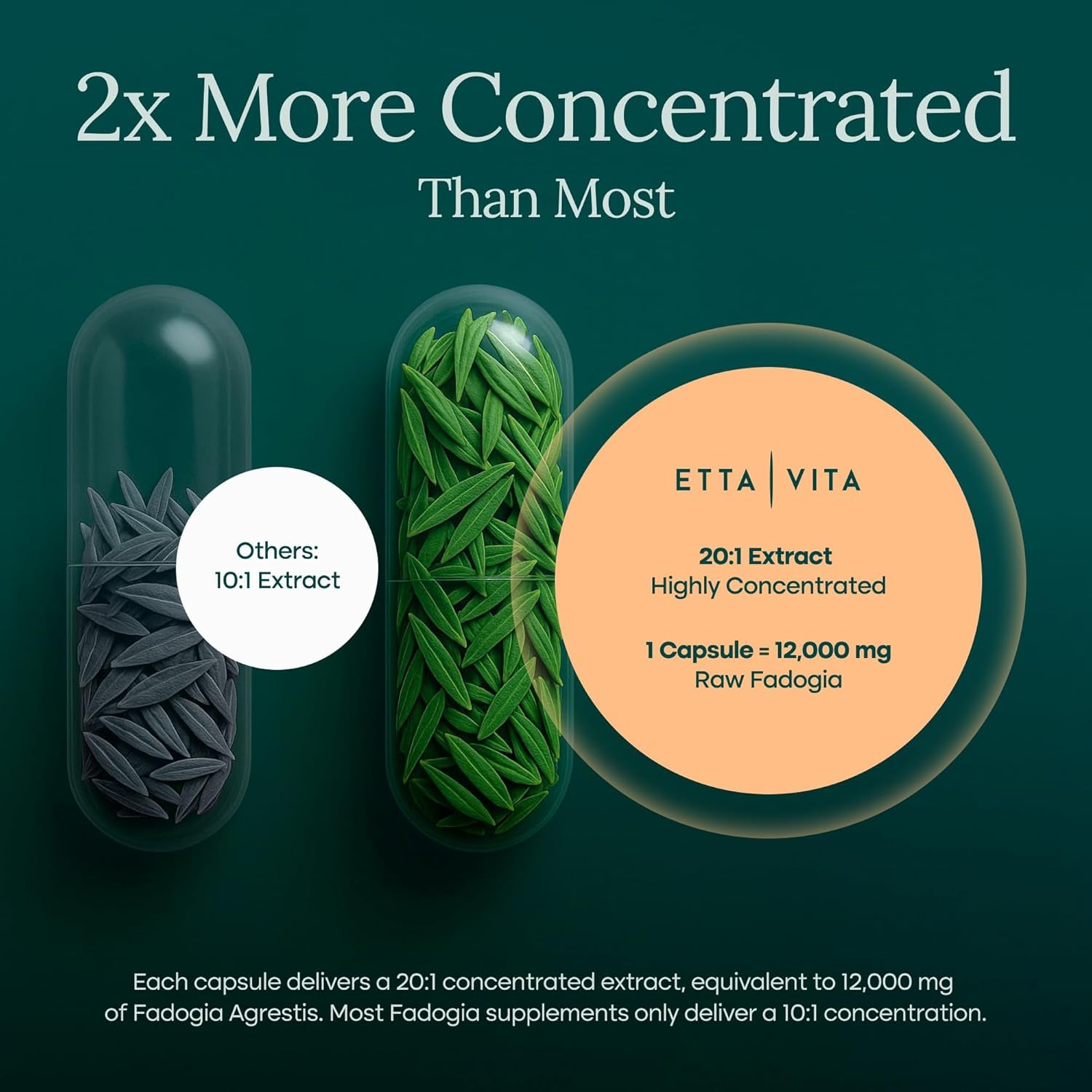 Organic Fadogia Agrestis 600Mg for Natural Test Support (2X More Pure - 3X More Absorbent) Athlete Approved - Supports Muscle Growth & Recovery, Healthy Energy Levels, Drive, Stamina & Mood - 60Ct