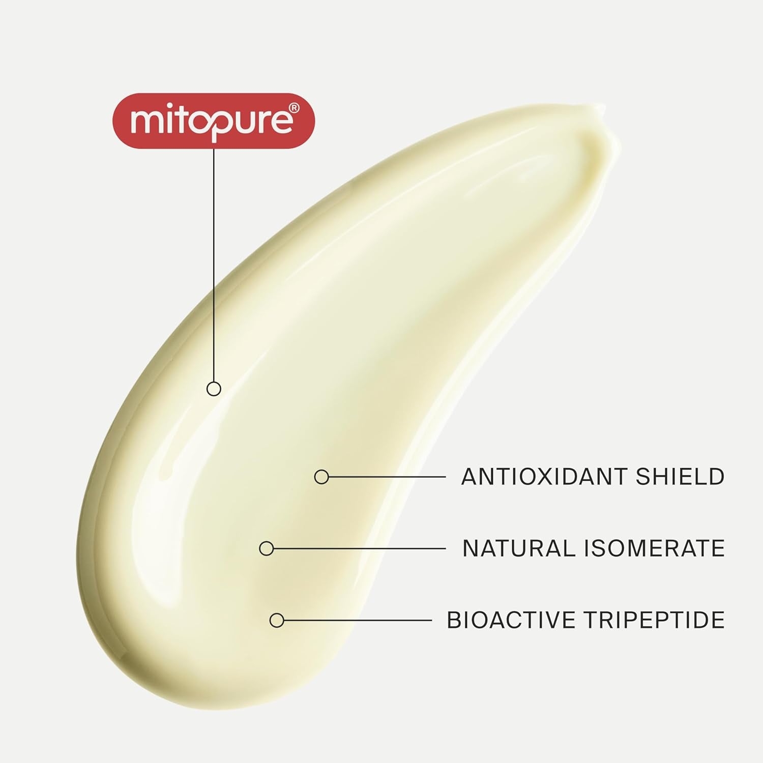 the Day Cream Powered by Mitopure (Urolithin A), Healthy Aging Face Cream. Redensifies Skin Appearance, Clinically Proven to Boost Skin Hydration and Visually Reduce Wrinkles. 1.7Oz (50Ml)