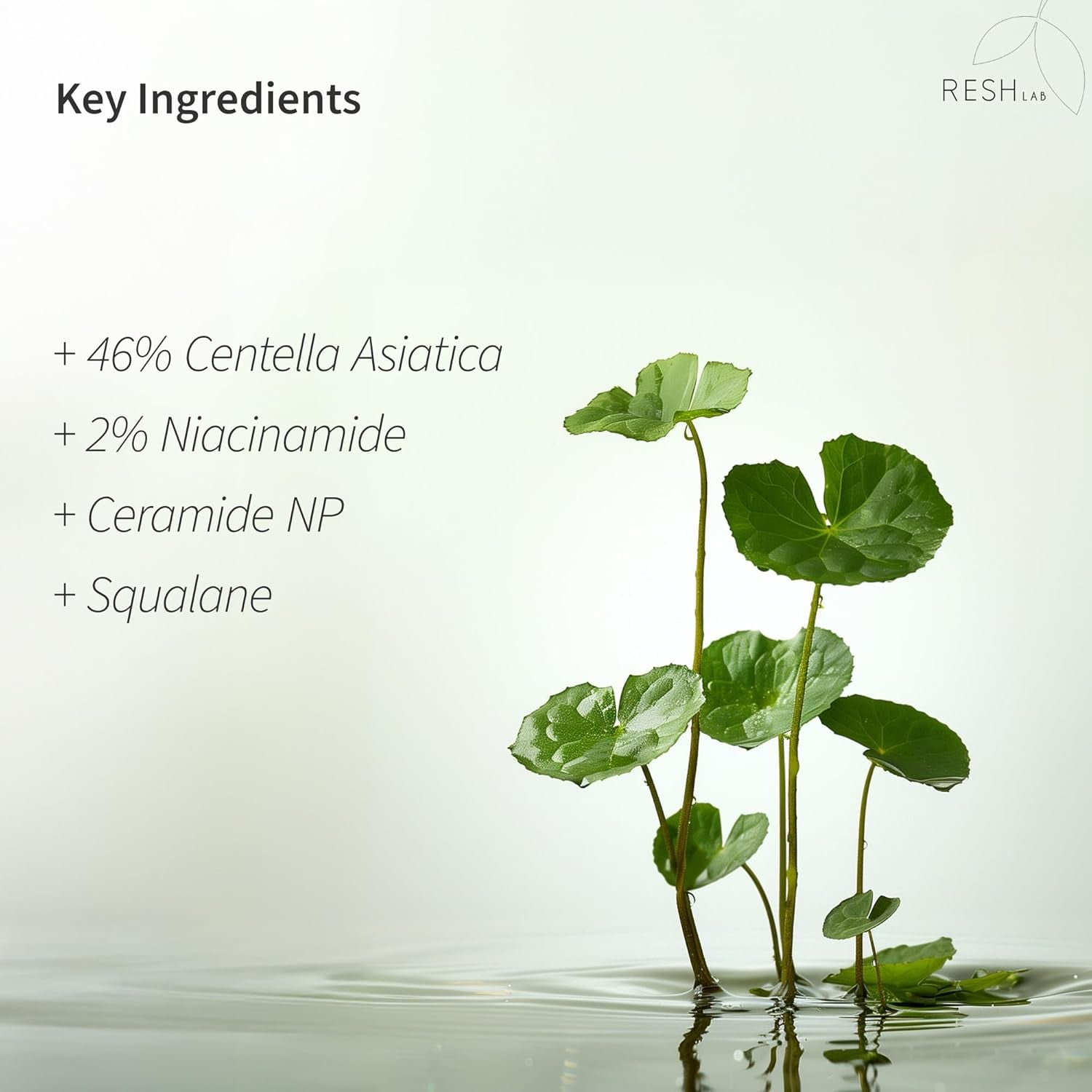 Korean Cica Repair Cream – Hydrating Face Moisturizer for Sensitive & Dry Skin | Redness Relief, Soothing Cream with Ceramide & Panthenol (Fragrance-Free, 50Ml)