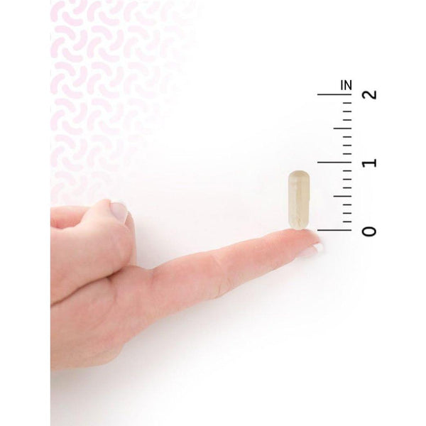 Garden of Life Dr. Formulated Probiotics Mood+ – 60 Capsules | Gut & Brain Health, Stress Support