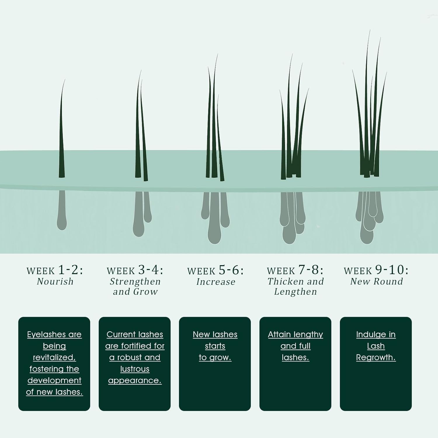 TUDPA Eyelash Serum - 3ml