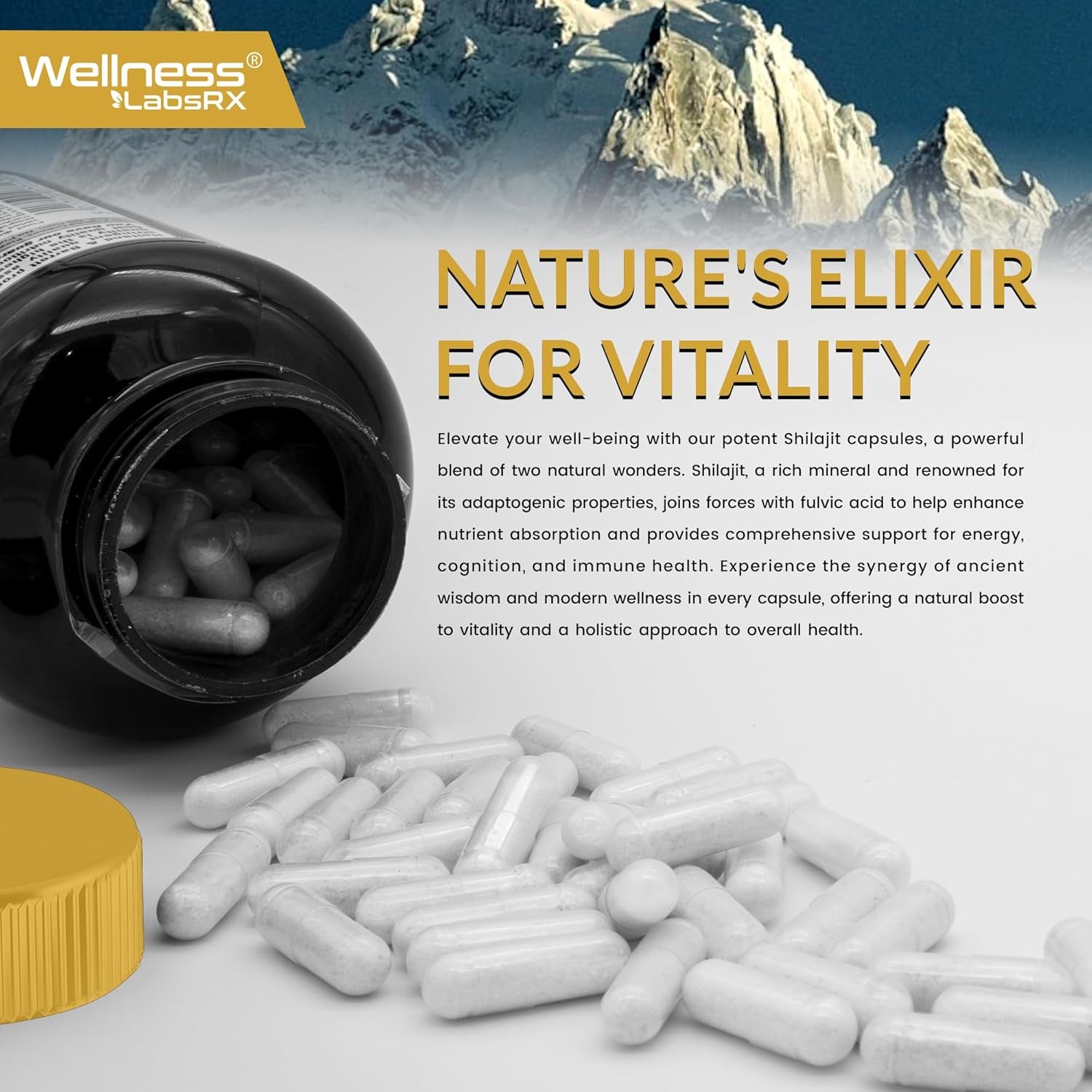 WELLNESS LABSRX Fulvic Acid Shilajit 15,000MG - 120 Capsules