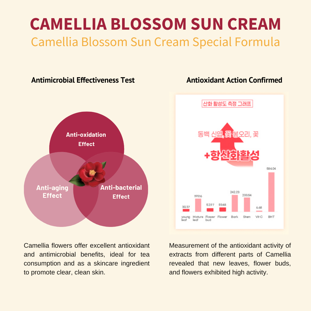 [JEJU INDI] Blossom Sun Cream 50ml - Glam Global UK