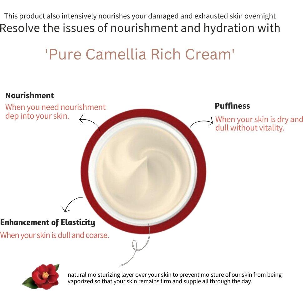 [JEJU INDI] Camellia Vital Rich Cream 50ml - Glam Global UK