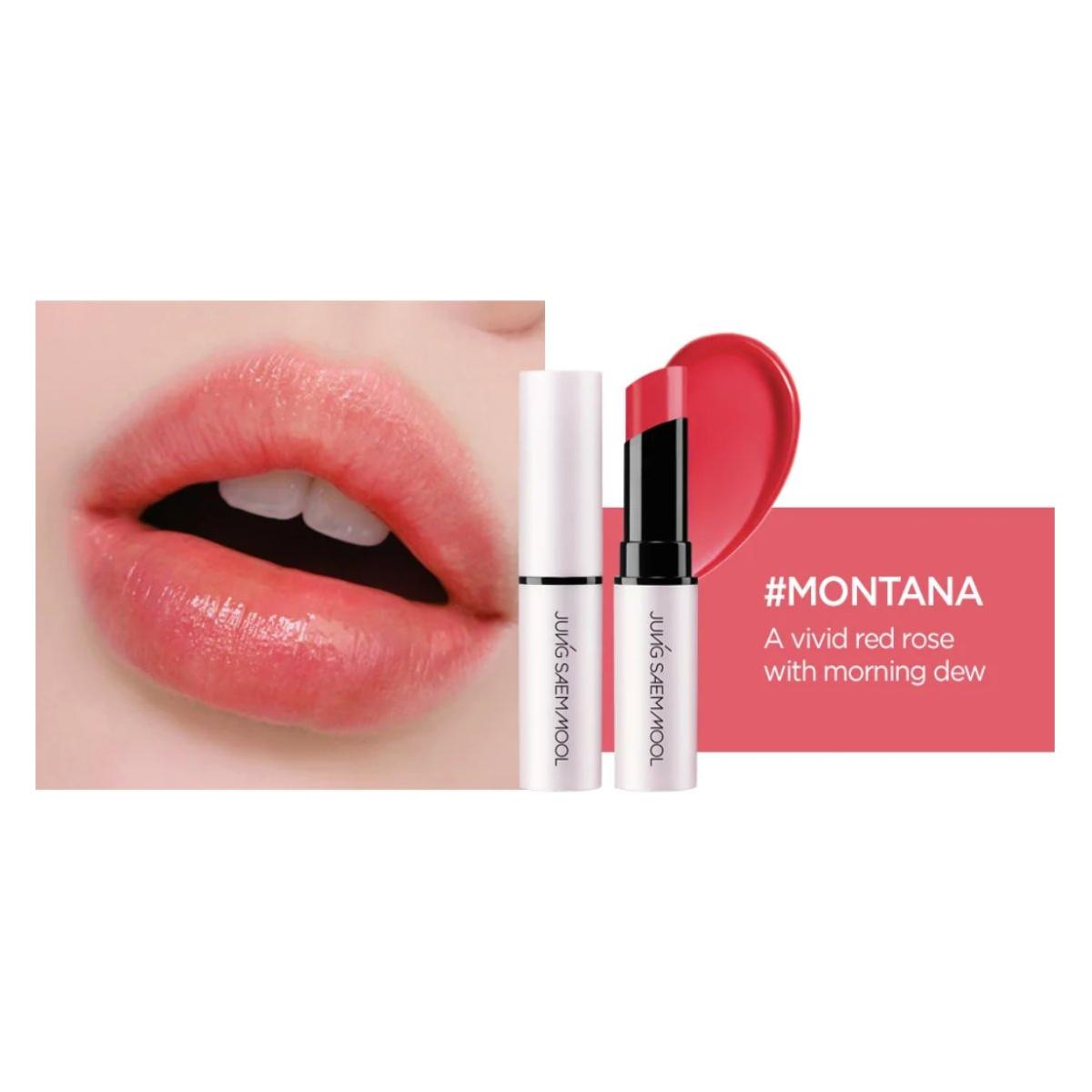 JUNGSAEMMOOL LIP - PRESSION Water Tinted Lip Balm 4.5g - Glam Global UK