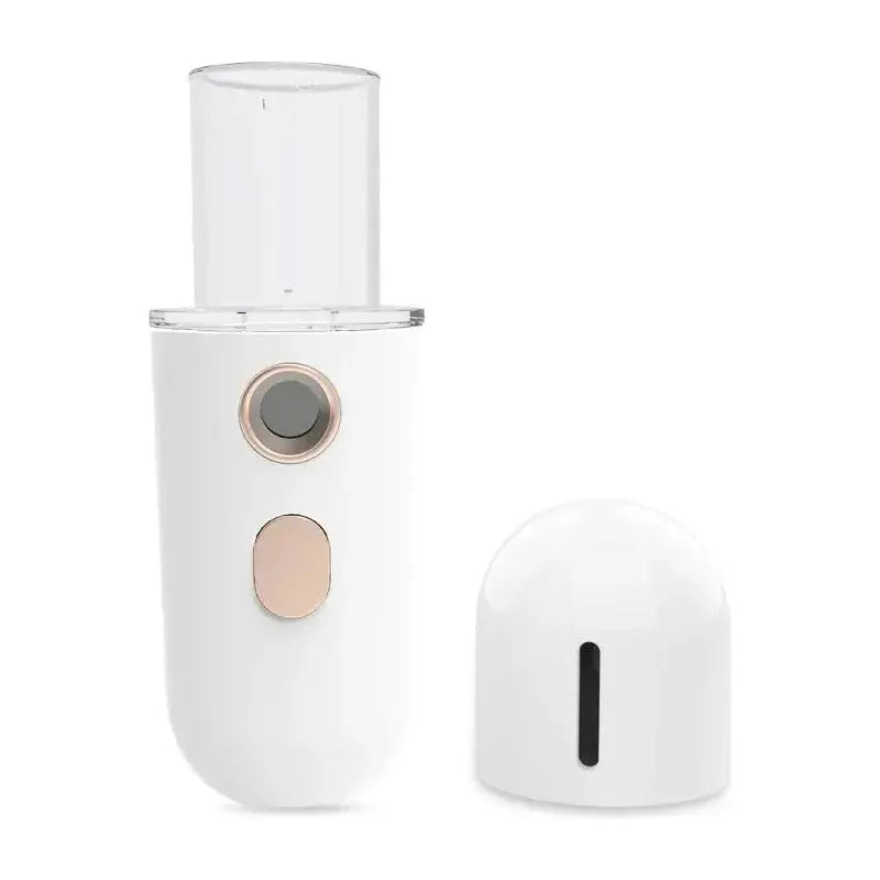 Nano Moisturizer Steam Facial Humidifier - Glam Global UK