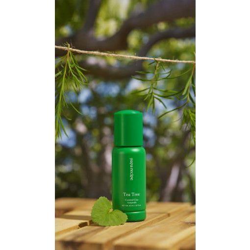 papa recipe Tea Tree Control Cica Ampoule 30ml - Glam Global UKpapa recipe