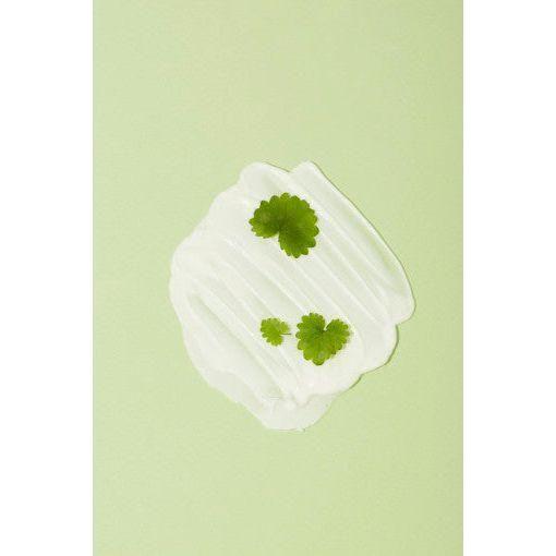 papa recipe Tea Tree Control Cleansing Foam 120ml - Glam Global UKpapa recipe
