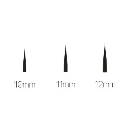 CORINGCO Toktok-Hara Bold Eyelash – 100pcs (3 Types) | Dramatic Volume with D-Curl Definition