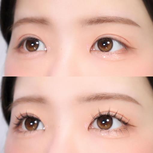 CORINGCO Toktok-Hara Wink Fake Eyelashes (Mix Set, 292pcs) | Customisable Lash Perfection for Every Look