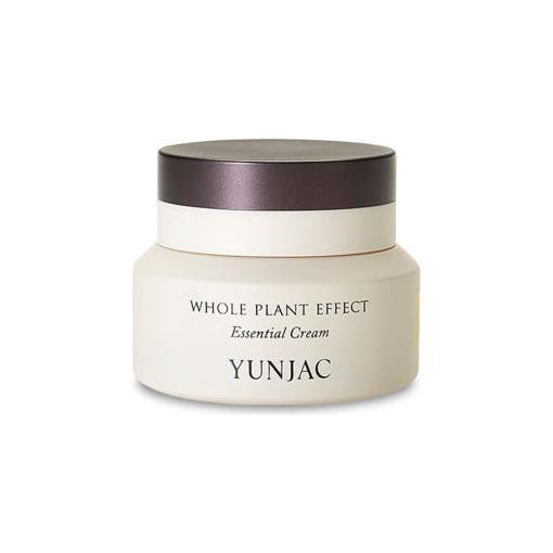 YUNJAC Whole Plant Effect Essential Cream – 50ml | Deep Hydration & Skin-Firming Moisturizer