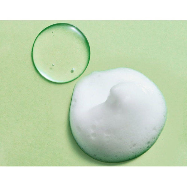 Real Barrier Control-T Cleansing Foam – 120ml | Purifying Foam Cleanser for Oily &amp; Acne-Prone Skin