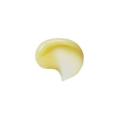 The SAEM Urban Eco Golden Berry C Cream 50ml | Brightening & Anti - Wrinkle Hydration - Glam Global UKThe SAEM