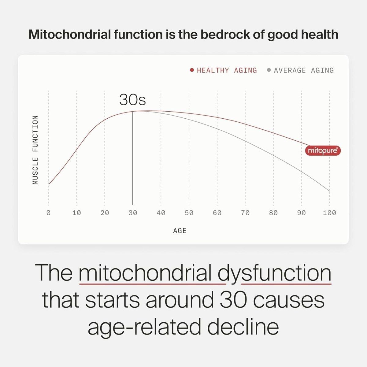 Timeline Mitopure Urolithin A - Clinically Proven Supplement for Healthy Aging & Cellular Renewal | Boost Muscle Strength & Endurance | 60 Softgels - Glam Global UK